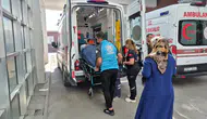 Adıyaman'da incir toplarken ağaçtan düştü ! Hastaneye kaldırıldı
