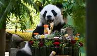 Çin'de dev panda Xing Mei'nin 15'inci yaş günü kutlandı