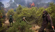 Cezayir’de orman yangını faciası : 12 kişi hayatını kaybetti