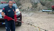 Tokat’ta eve giren yılanı itfaiye ekipleri yakaladı