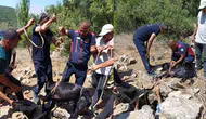 Hatay'da keçi su kuyusuna düştü : Kurtarılıp sahibine teslim edildi
