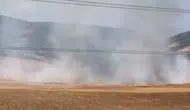 Bursa'da tarlalık alanı ateşe veren 16 yaşındaki şüpheli yakalandı