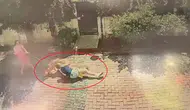 Samsun’da pitbull dehşeti ! Küçük kız ve köpeği saldırıya uğradı