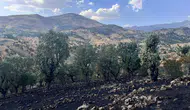 Siirt’te bir günde 5 yangın : Bir bölgede söndürme çalışmaları sürüyor