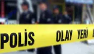 Bolu'da yavru kedi vahşeti ! Önce öptü sonra ardından katletti