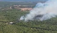 İzmir Buca'da orman yangını : Alevlere havadan ve karadan müdahale ediliyor