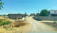 Diyarbakır'da kuduz tehdidi ! Kedinin ısırdığı 4 yaşındaki çocuk entübe edildi