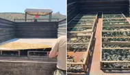 Hatay'da kaçakçılık operasyonu : Traktör römorkunda 2 bin 114 saka kuşu ele geçirildi