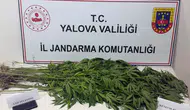 Yalova'da uyuşturucu operasyonu : 3 şüpheli gözaltına alındı