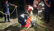 Bursa'da alkollü sürücü 50 metreden aşağı düştü