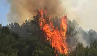 Muğla Menteşe'de orman yangını