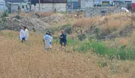 Şanlıurfa'da şüpheli ölüm : Tarlada erkek cesedi bulundu
