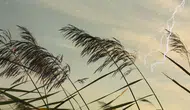 Meteoroloji saat verip uyardı ! O illerde fırtına ve yağış alarmı