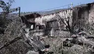 Yunanistan Psatha'da orman yangını : Söndürme çalışmaları dördüncü gününde