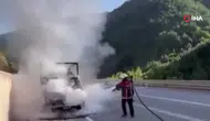 Sinop'ta tavuk taşıyan kamyonette yangın