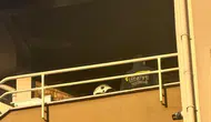 Tekirdağ'da apartman dairesinde korkutan yangın