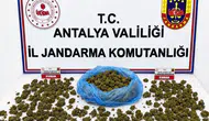 Antalya'da uyuşturucu operasyonu : 4 kişi gözaltına alındı