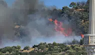 Kocaeli Gebze'de ormanlık alanda yangın