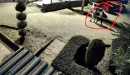 Diyarbakır'da bir kadın, çocuğunun gözü önünde eşi tarafından öldürüldü
