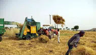 Tarım ve Orman Bakanlığı'ndan tarımsal destek