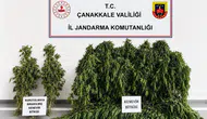 Çanakkale'de uyuşturucu operasyonu : 35 adrese baskın, 68 şüpheli yakalandı