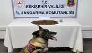 Eskişehir'de 361 gram bonzai ele geçirildi : Şüpheli tutuklandı