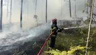 Bolu’da yerleşim alanına yakın ormanlık bölgede yangın