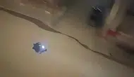 Ağrı'da gürültü yapıp tehlikeli araç kullanan motosiklet sürücüsüne ceza