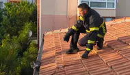 Erzincan’da yürekleri ısıtan çalışma : Çatıda mahsur kalan yavru kedi kurtarıldı