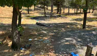 Ankara'daki kadın cinayetinde kan donduran iddia : Gülay Akgün Mutlu'ya ne oldu?