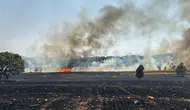 Kütahya'da tarlada başlayıp ormana sıçrayan yangın kontrol altına alındı