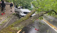 Niğde’de sağanak ve rüzgar ağacı kökünden söktü ! Otomobilin üzerine devrildi