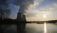 Fransa’da nükleer santral alarmı : Denizanası sürüsü 3 reaktörü durdurdu
