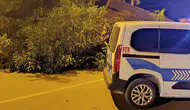 Beyşehir'de ceviz ağacı caddeye devrildi : Ulaşım geçici olarak durdu