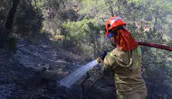 Aydın Çine'deki orman yangınıyla mücadele sürüyor