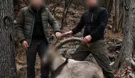 Siirt'te koruma altındaki 5 yaban keçisini avlayan şahıslara para cezası