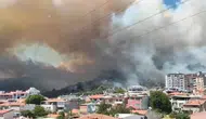 Balıkesir Kaz Dağları'nda orman yangını