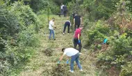 Hakkari ve Samsun merkezli operasyonlarda 265 kilo uyuşturucu ele geçirildi