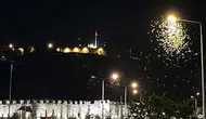 Ardahan'da kelebeklerin 'ölüm dansı' görüntülendi