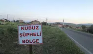 Ardahan'da alarm ! Büyükbaş hayvanda kuduz tespit edildi, bölge karantinaya alındı