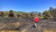Fethiye'deki orman yangınının ardından tarım alanlarında hasar tespit çalışmaları başladı