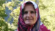 Yaylada yürürken sırtından vuruldu ! 60 yaşındaki kadına yorgun mermi isabet etti