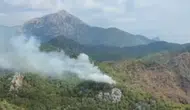 Antalya Kemer'de orman yangını : Havadan ve karadan müdahale başlatıldı