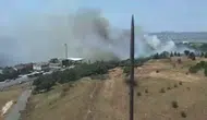 Büyükçekmece'de otluk ve ormanlık alanda yangın