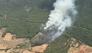 Muğla Kavaklıdere'de orman yangını