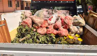 Antalya'da gıda deposunda skandal : 152 kilo et ve 20 bidon turşuya el konuldu