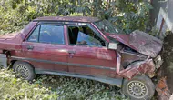 Boş kulübeye çarpan otomobilde 1 kişi yaralandı
