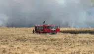 Bitlis'te korkutan yangın ! Rüzgarla yayıldı, 300 dönümlük alan zarar gördü
