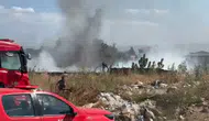 Aydın Efeler'de zeytinlik alanda yangın çıktı