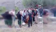 Siirt'te dağlık alanda mahsur kalan büyükbaş hayvan telef oldu
